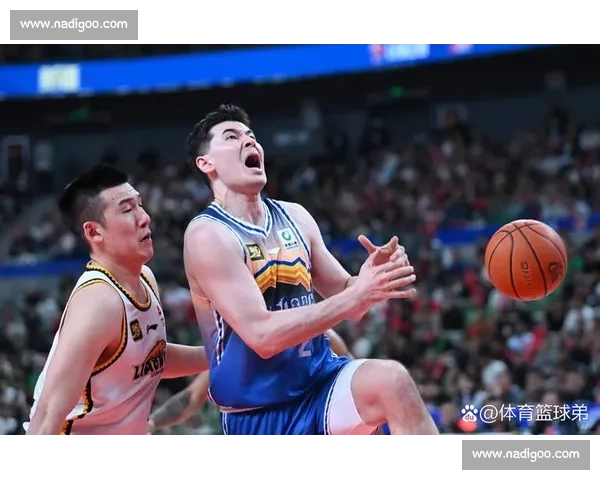 篮板王者的传奇之路与篮球场上的统治力量揭秘 篮板王者的传奇之路与篮球场上的统治力量揭秘